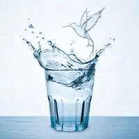 Doulton jégmadár a tiszta víz fölött